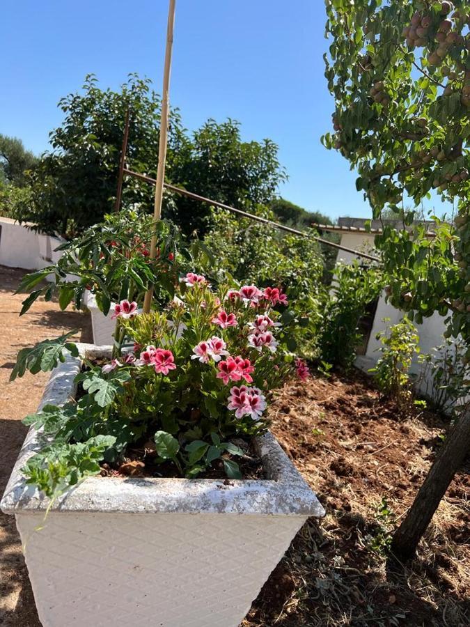 Trullo Antelmi Villa Ceglie Messapica Eksteriør bilde