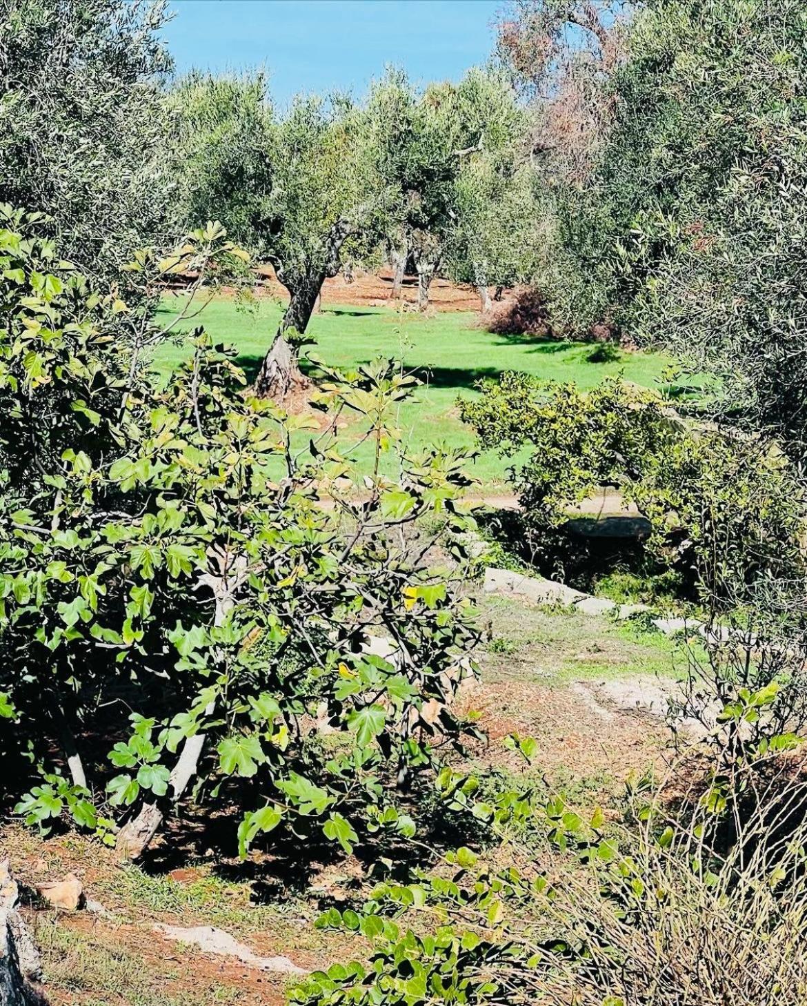 Trullo Antelmi Villa Ceglie Messapica Eksteriør bilde
